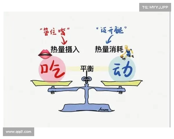 卡路里与健康管理：如何通过合理控制卡路里摄入促进减肥与维持身体平衡